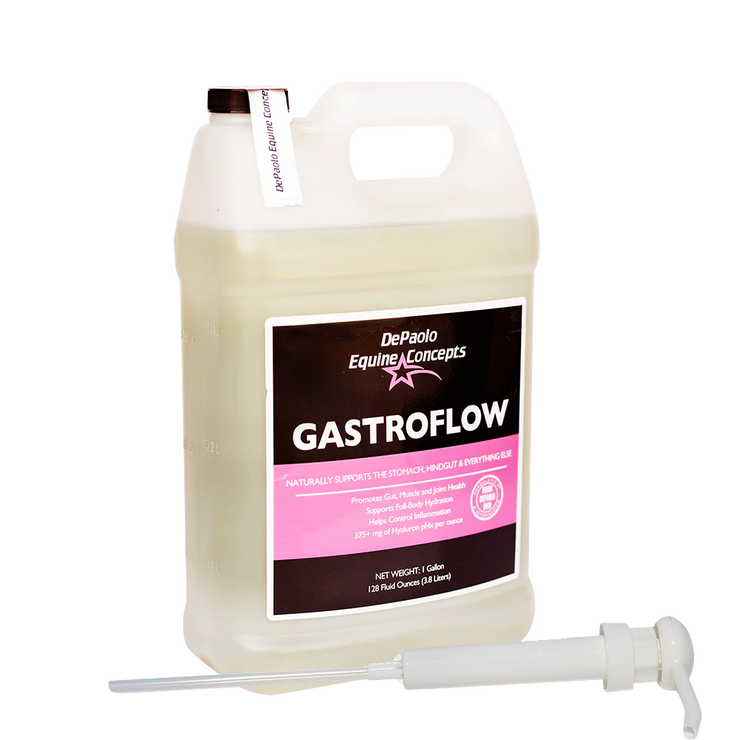 GastroFlow